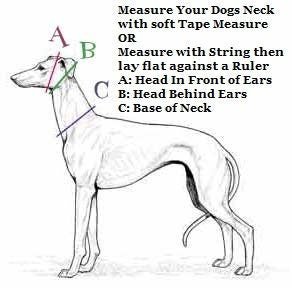 Leather Leash Multifunctional Custom Color and Width Options - Stone Rival Leather