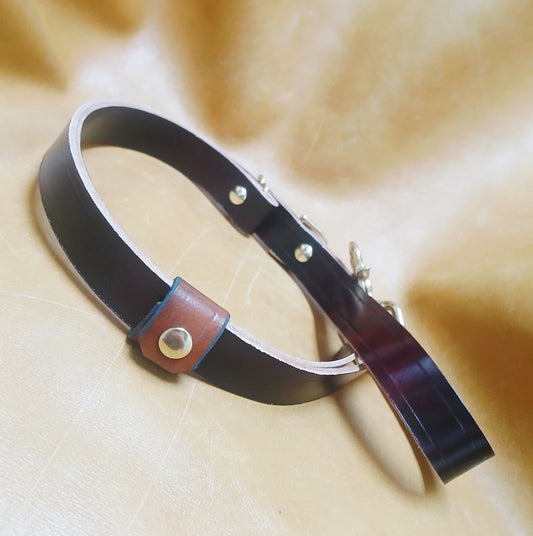 Handcrafted Leather Leashes for Timeless Everyday Style