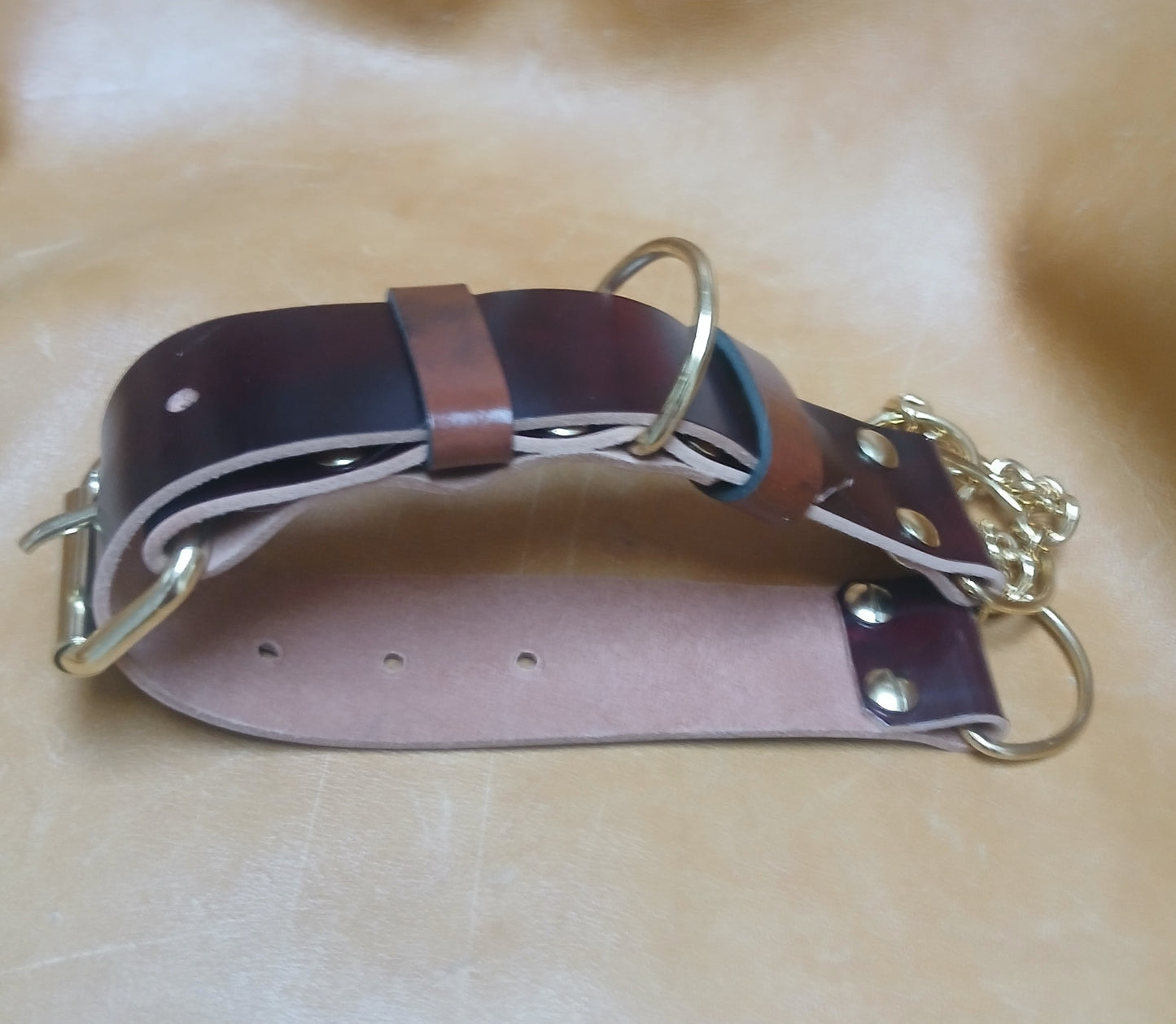 Leather Dog Collar Martingale Collar, 1.5 inches wide, Customizable