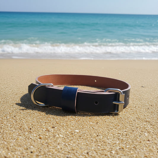 Blue and brown leather dog collar on a wooden surface