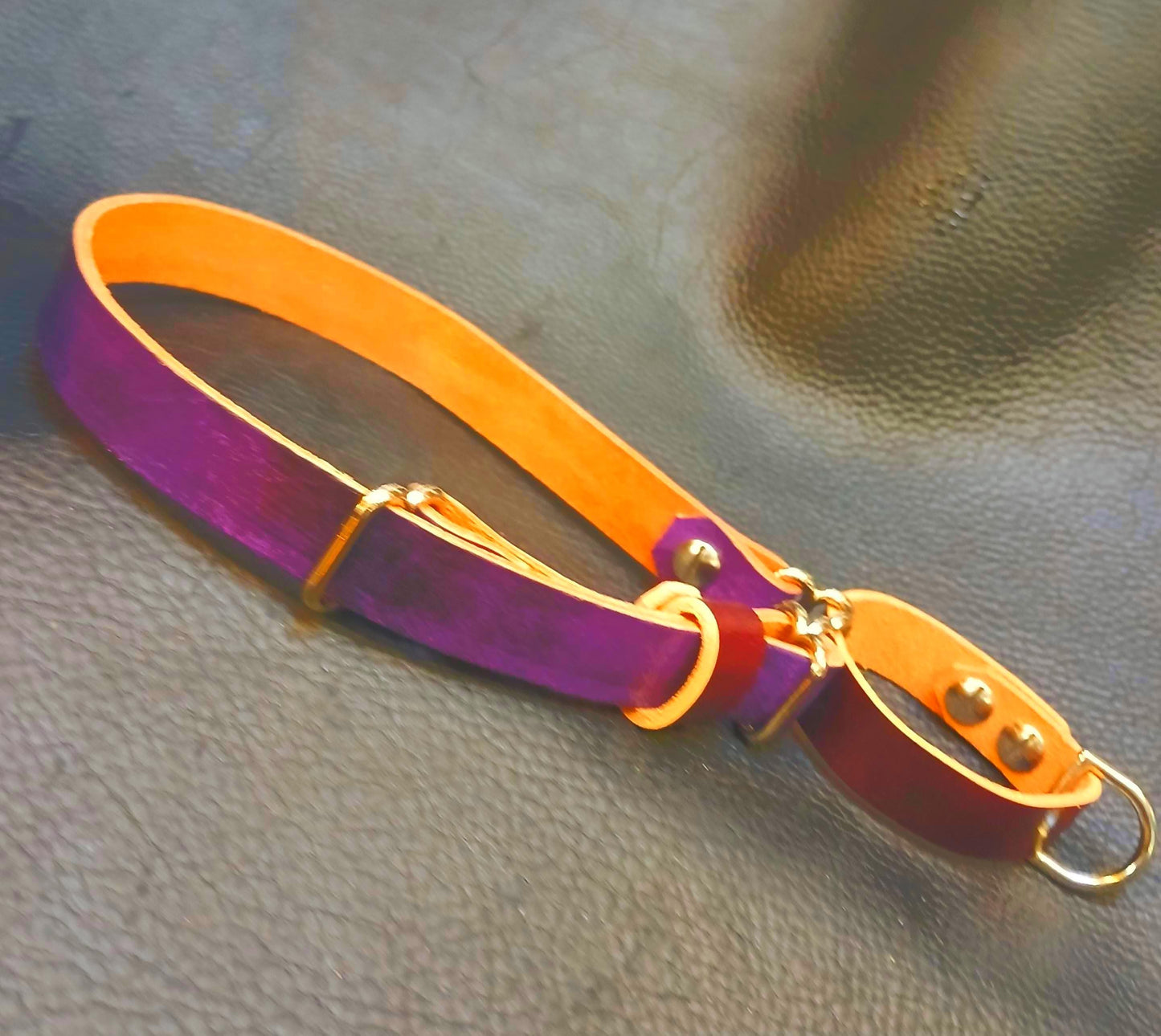 Hand Made Leather Dog Collar Martingale Collar