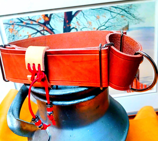 Hand Made Adjustable Leather Martingale Dog Collar