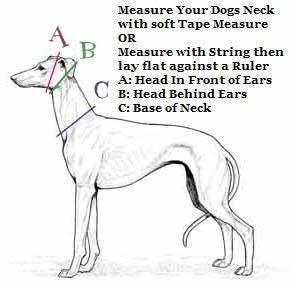 Forever Flowers Leather Dog Collar