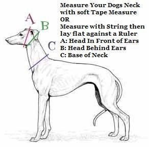 Hand Made Adjustable Leather Quick Release Dog Collar