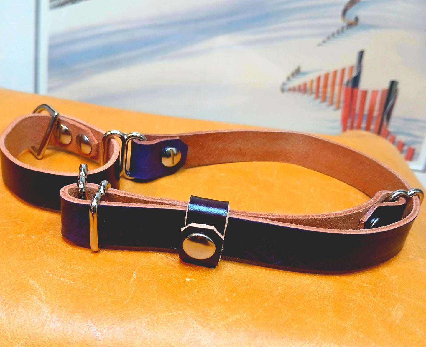 Hand Made Leather Dog Collar Martingale Collar