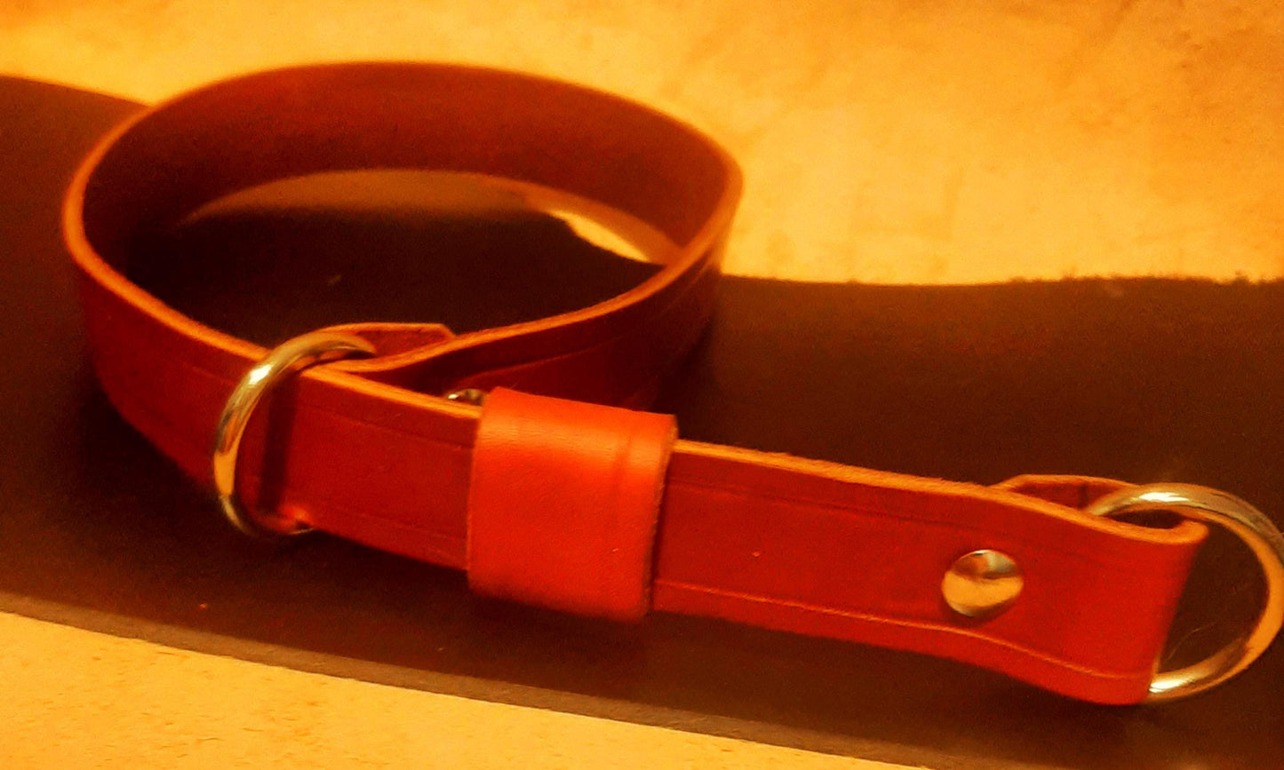 Hand Made Leather Slip Dog Collar