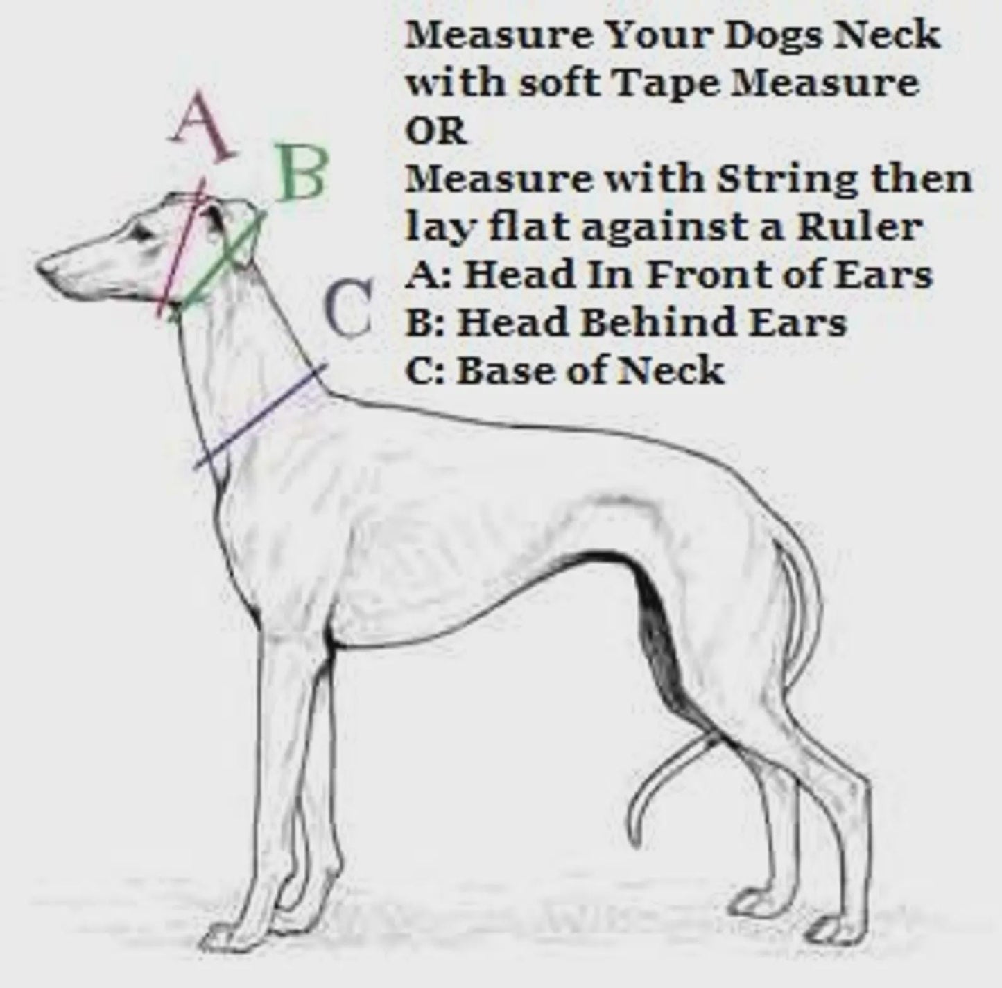 Hand Made Adjustable Leather Quick Release Dog Collar