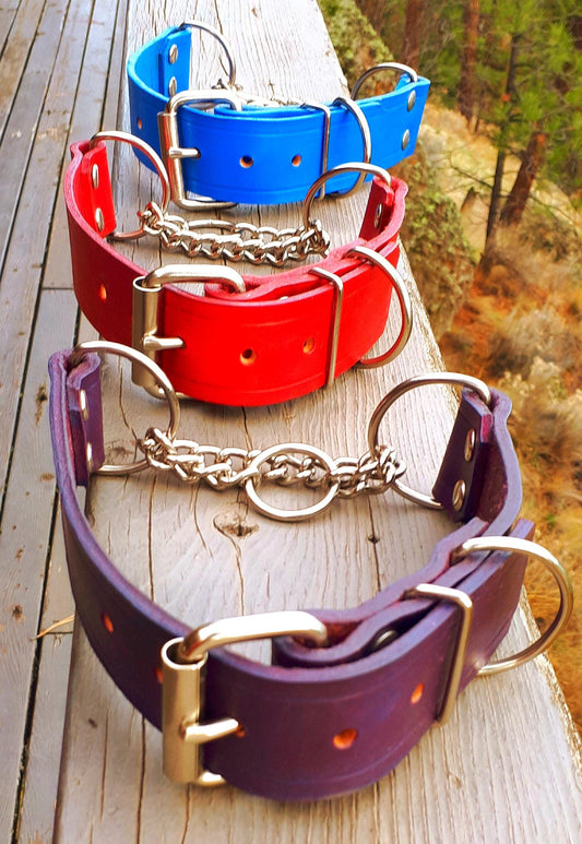 Hand Made Leather Dog Collar Martingale Collar