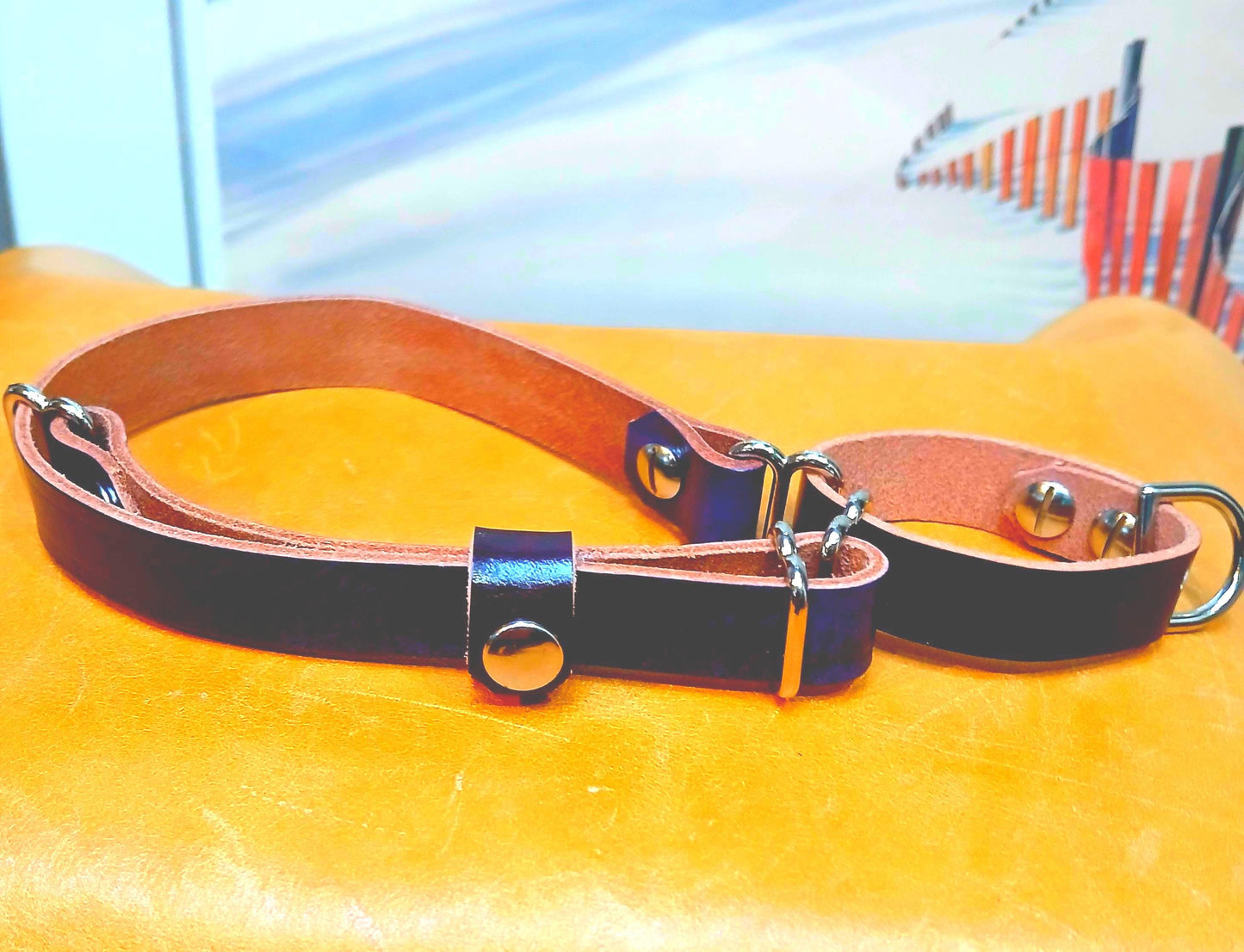 Hand Made Leather Dog Collar Martingale Collar