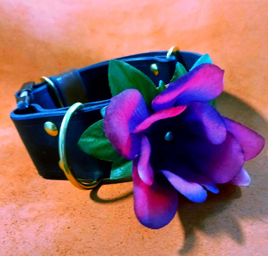 Hand Made Leather Quick Release Dog Collar with Snap on Forever Flower